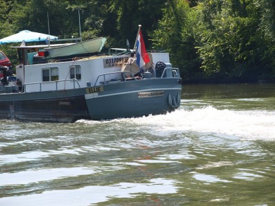 P7141564 (Copier).JPG (286.82 Kio) Vu 3212 fois P7141564 (Copier).JPG