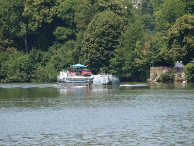 P7141559 (Copier).JPG (332.07 Kio) Vu 3360 fois P7141559 (Copier).JPG