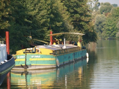 P8301627 (Copier).JPG (294.93 Kio) Vu 1572 fois P8301627 (Copier).JPG