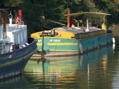 P8301626 (Copier).JPG (277.94 Kio) Vu 1572 fois P8301626 (Copier).JPG