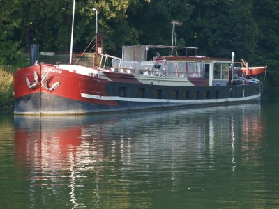 P8301636 (Copier).JPG (245.66 Kio) Vu 6140 fois P8301636 (Copier).JPG