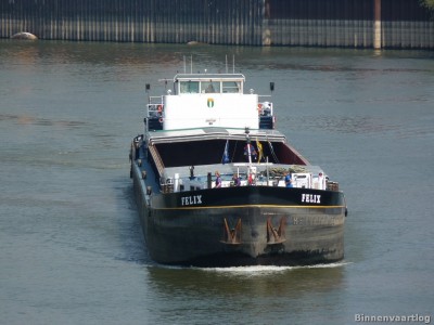 felix-2-06-09-2013.jpg