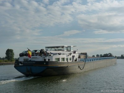 Thalassini-9-11-09-2013-sluis-lith.jpg