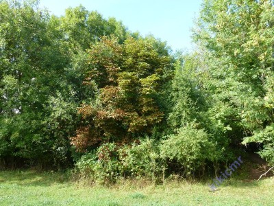 Pierre-la-Treiche - chantier Mourlon (02).JPG (190.28 Kio) Vu 12286 fois Pierre-la-Treiche - chantier Mourlon (02).JPG