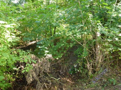 Pierre-la-Treiche - chantier Mourlon (05).JPG (189.22 Kio) Vu 12300 fois Pierre-la-Treiche - chantier Mourlon (05).JPG