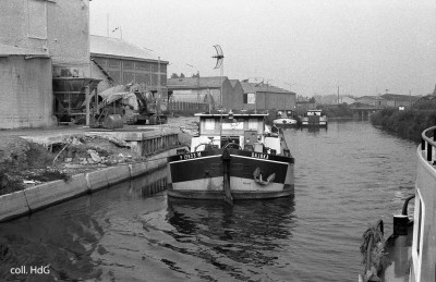 Dajoka 02.jpg (125.04 Kio) Vu 1894 fois Dajoka 02.jpg