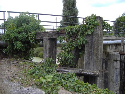 PICT8109PARTAGEI.jpg (213.71 Kio) Vu 4761 fois PICT8109PARTAGEI.jpg