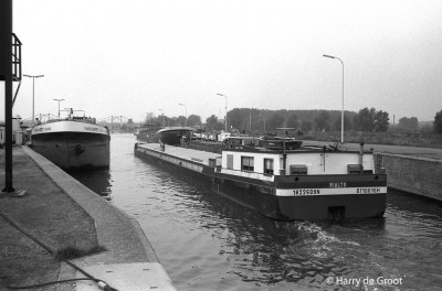 Rialto 01822509 (2).jpg