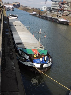 DSCN3152 (2).JPG (119.61 Kio) Vu 2063 fois DSCN3152 (2).JPG