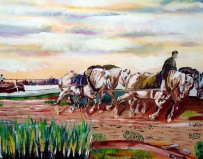 halage avec plusieur cheveaux (640x503).jpg (226.31 Kio) Vu 12259 fois halage avec plusieur cheveaux (640x503).jpg