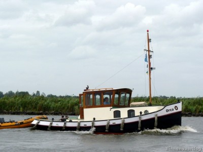 orca-2-01-09-2013.jpg