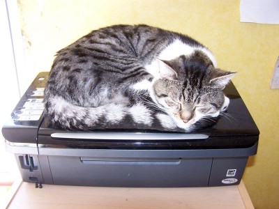 091016 002 - 800.jpg (90.86 Kio) Vu 13117 fois 091016 002 - 800.jpg