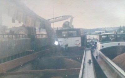 REMUS.jpg (72.73 Kio) Vu 5946 fois REMUS.jpg