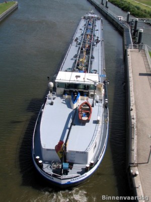 tadorna-4-28-08-2009.jpg