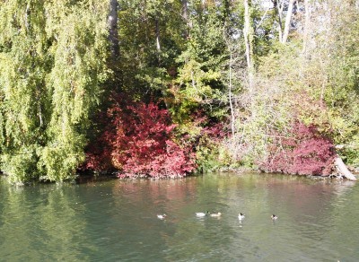 PA185521.JPG (190.09 Kio) Vu 5172 fois PA185521.JPG