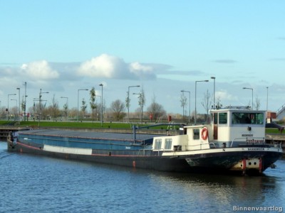 cest-la-vie-6-25-11-2013.jpg