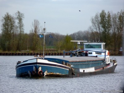 cest-la-vie-1-25-11-2013.jpg