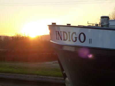 P1100944INDIGOII.jpg