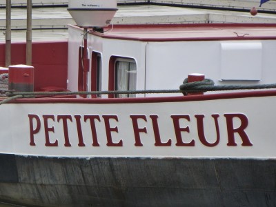 P1100652PETITEFLEUR.jpg