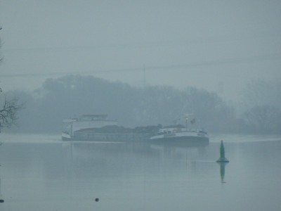 P1110059RITRABO.jpg (61.04 Kio) Vu 4047 fois P1110059RITRABO.jpg