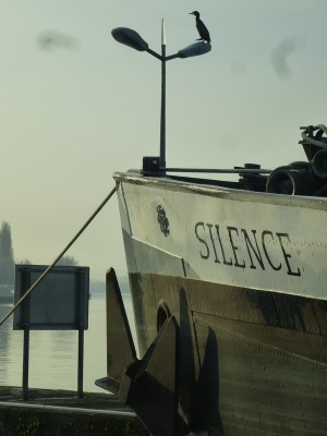 P1110433SILENCE.jpg