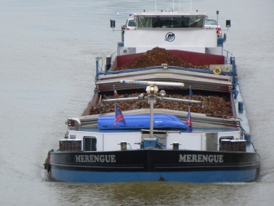 P1100668MERENGUE.jpg (129.91 Kio) Vu 2951 fois P1100668MERENGUE.jpg