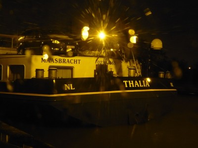 P1100722THALIA.jpg