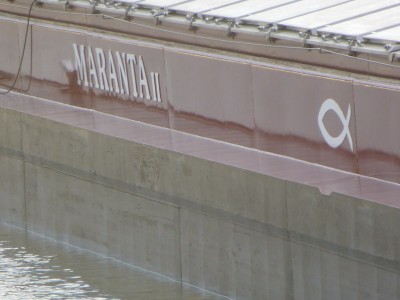 P1100789MARANTAII.jpg