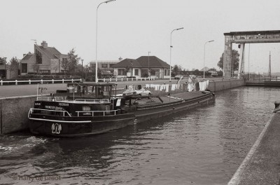 Safari 3020649 04.jpg (142.39 Kio) Vu 1983 fois Safari 3020649 04.jpg