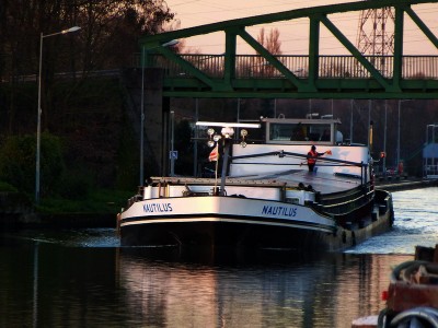 P1120247NAUTILUS.jpg