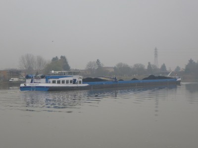 P1110078THREANT.jpg