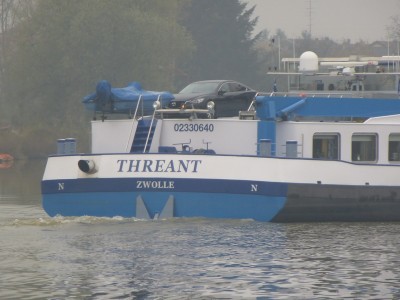 P1110079THREANT.jpg