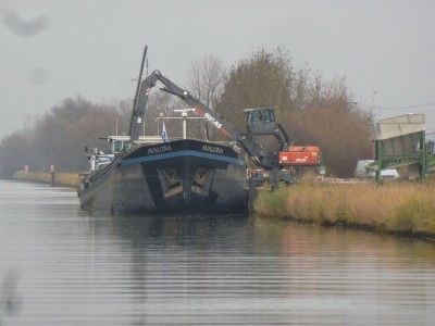 P1110644AVAONA.jpg