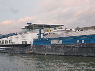 P1110669WILHELMINAARINA.jpg