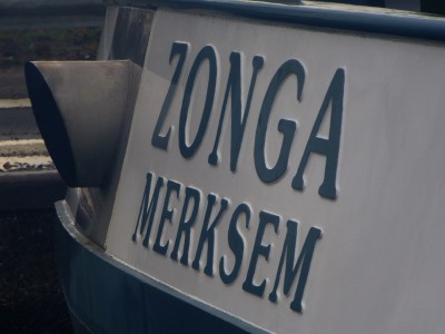 P1120184ZONGA.jpg