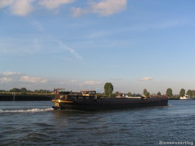 hingrie-3-19-09-2006.jpg
