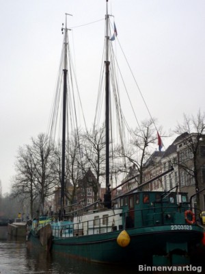 Pelikaan-4-14-12-2013.jpg