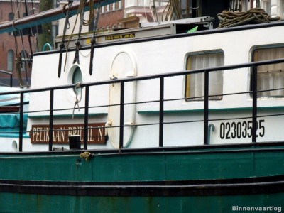Pelikaan-3-14-12-2013.jpg