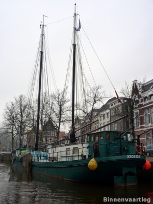 Pelikaan-2-14-12-2013.jpg