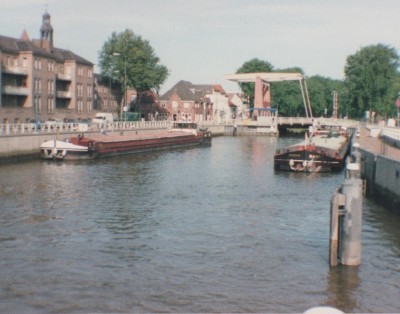 buisson 007.jpg (215.34 Kio) Vu 1161 fois buisson 007.jpg