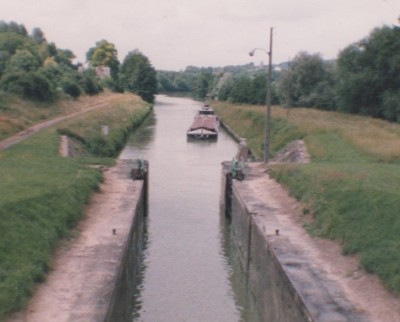 buisson 005.jpg (138.94 Kio) Vu 1161 fois buisson 005.jpg