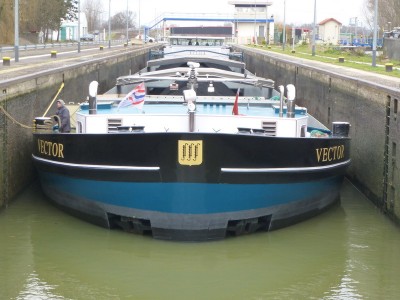 P1120713VECTOR.jpg