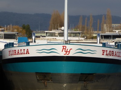 P1120669FLORALIA.jpg
