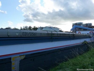 barbera-I-3-08-10-2011-groningen.jpg