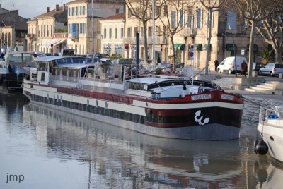 coriandre beaucaire 5janvier2014 av (Copier).jpg (85.08 Kio) Vu 3322 fois coriandre beaucaire 5janvier2014 av (Copier).jpg