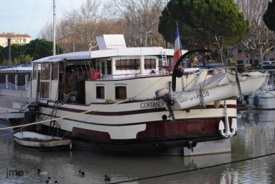 coriandre beaucaire 5janvier2014 ar (Copier).jpg (73.9 Kio) Vu 3322 fois coriandre beaucaire 5janvier2014 ar (Copier).jpg