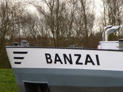 P1130050BANZAI.jpg