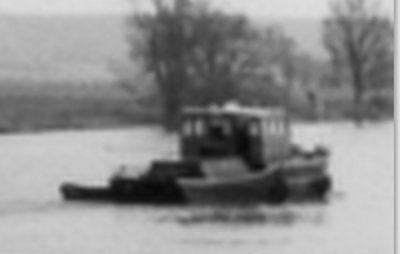 R 019-CESAR II.png