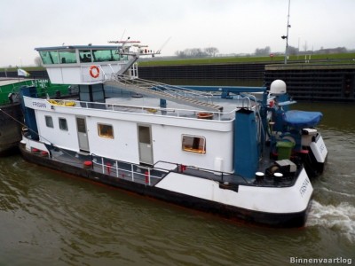 Frisian-3-21-01-2014.jpg