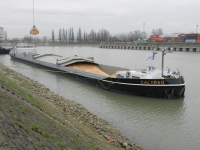 CALYPSO (2).JPG